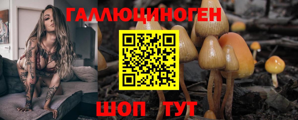 Псилоцибиновые грибы ЛСД  Вход с VPN  Кемерово 